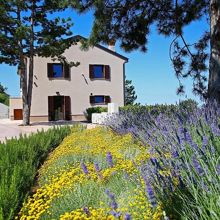 Luxury Villa Gradin Gračišče Exteriör bild