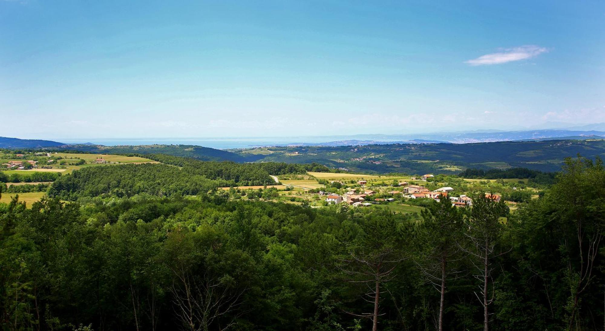 Luxury Villa Gradin Gračišče Exteriör bild