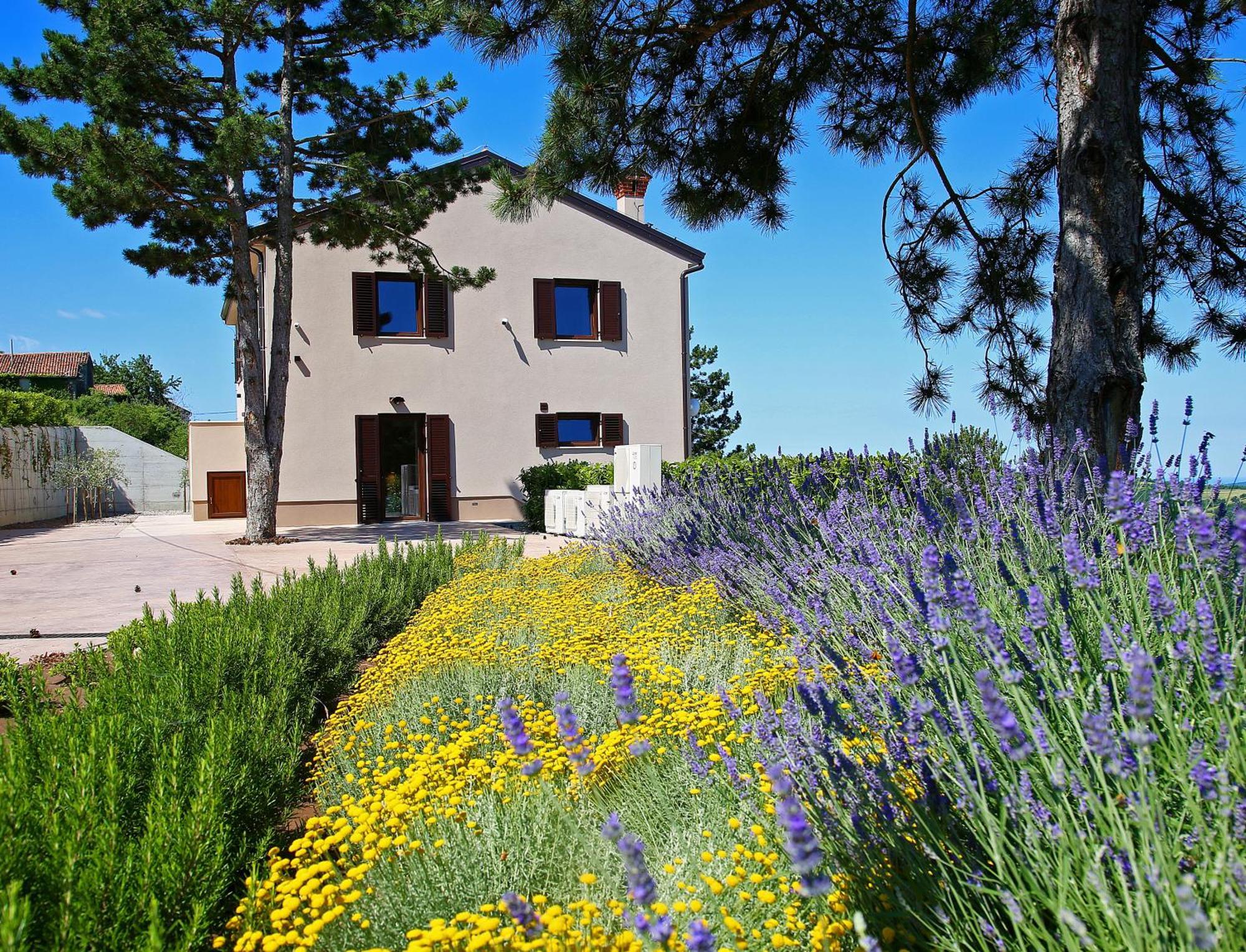 Luxury Villa Gradin Gračišče Exteriör bild